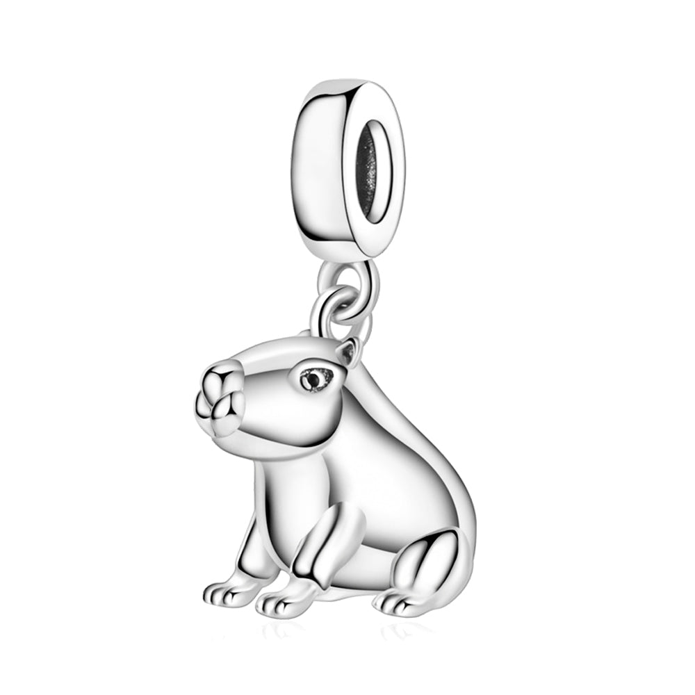 Capybara Charm
