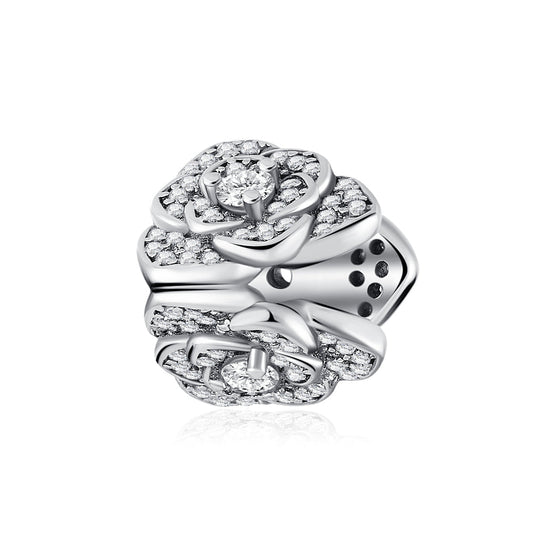 The Secret of the Universe Charm