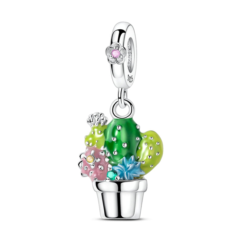 Cactus Succulent Charm
