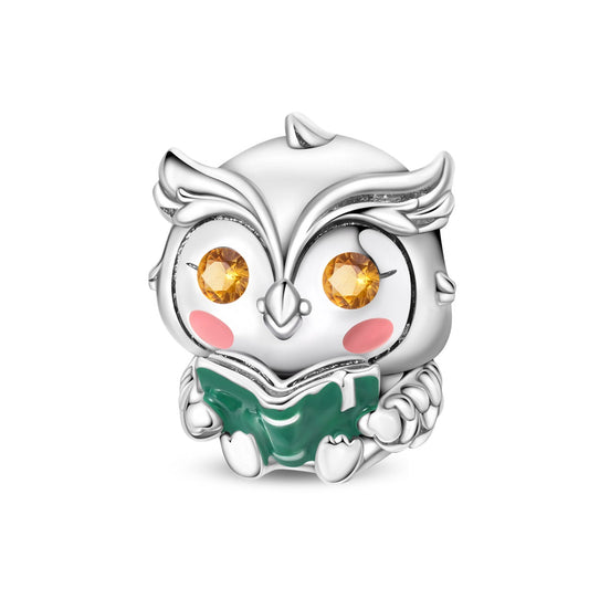 Owl Scholar Charm